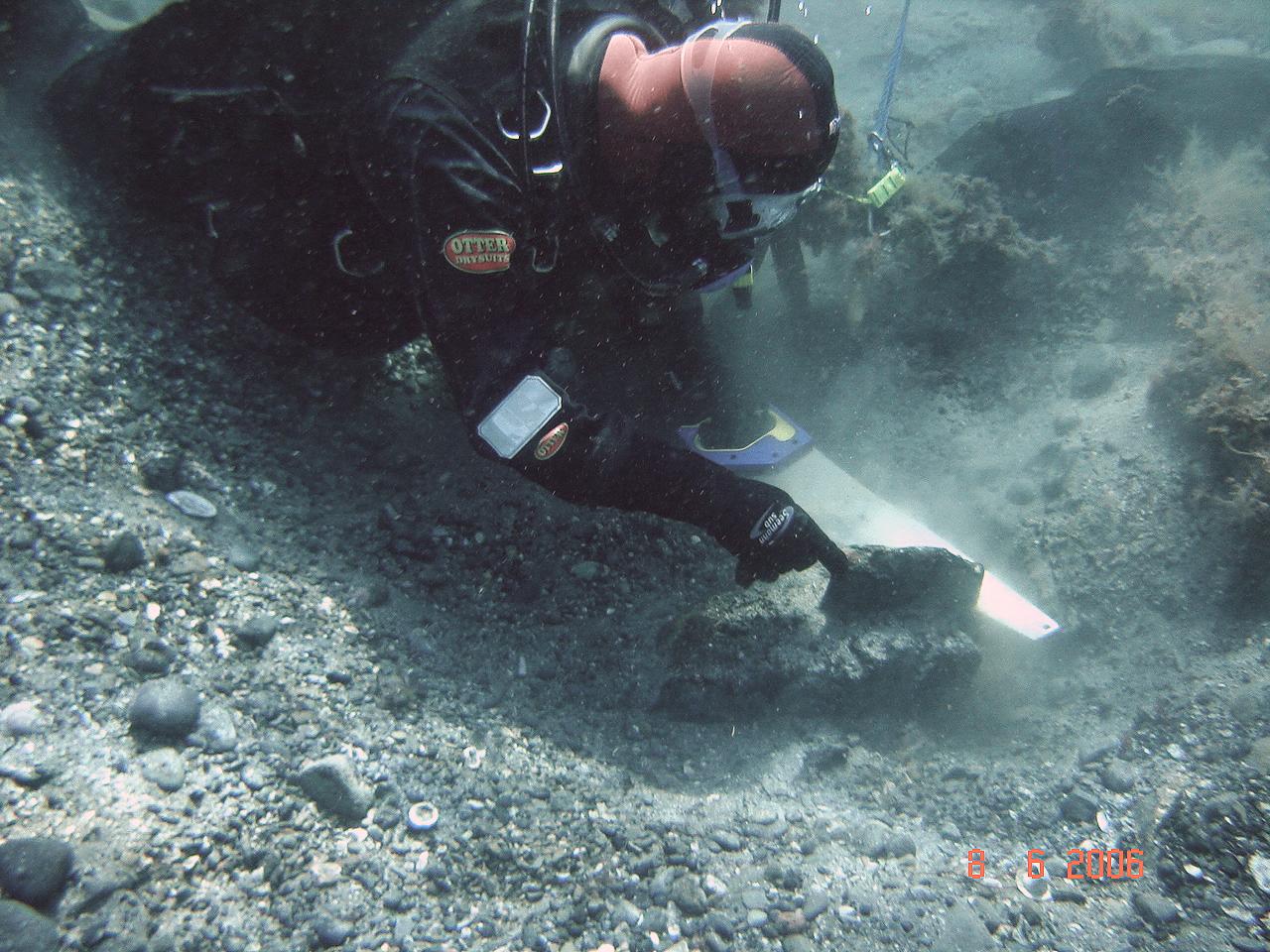  Dendrochronologist at work